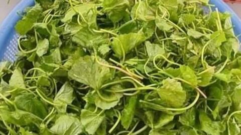 Loại nước uống thanh nhiệt, mát gan: Cần lưu ý khi sử dụng