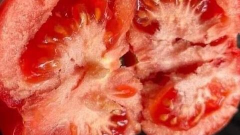 Những thực phẩm bảo vệ da mùa hè