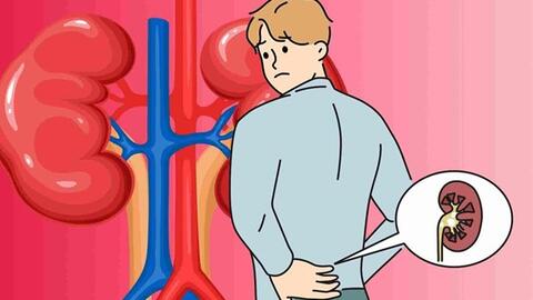 10 thực phẩm bổ thận nên có trong bữa ăn