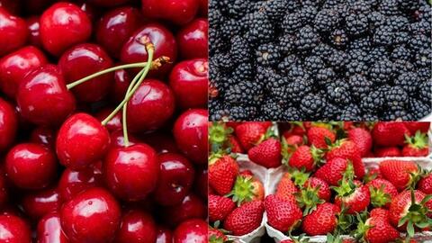 Bất ngờ với những quả mọng quen thuộc giúp gan sạch, dạ dày khỏe
