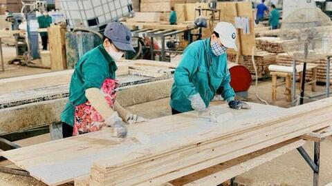 Ngành gỗ Gia Lai: Vượt thách thức, tăng trưởng ấn tượng