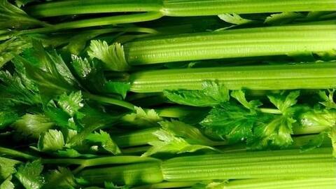 Giải nhiệt, thanh lọc cơ thể bằng loại rau hay dùng để giảm cân