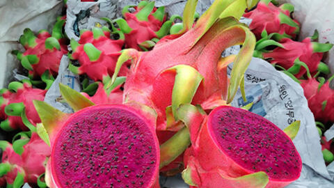 Giá nông sản hôm nay 16/4/2026: Nhiều mặt hàng biến động mạnh