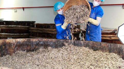 Xây dựng chuỗi thực phẩm sạch, nâng tầm nông sản Việt