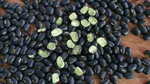 Tăng chức năng thận với nước đậu đen xanh lòng rang