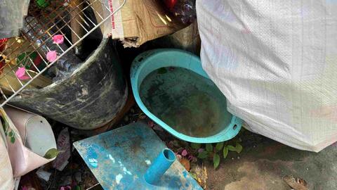 Nỗi lo sốt xuất huyết bủa vây khu trọ tại Cần Thơ