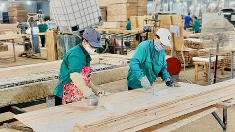 Gia Lai: Sản xuất công nghiệp, xuất khẩu và bán lẻ đồng loạt tăng