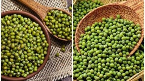 Món ăn từ đậu xanh giúp thải độc gan vào mùa hè