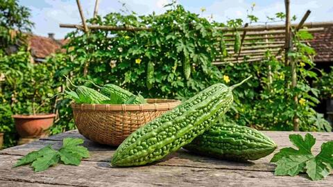 Loại quả nhiều người ngại ăn nhưng có thể hỗ trợ kiểm soát đường huyết