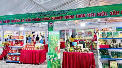 Hội chợ OCOP Điện Biên 2026: Tạo sức bật cho hàng Việt địa phương