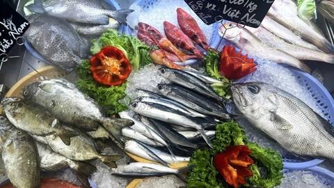 Cách nạp đủ protein mỗi ngày mà không cần thay đổi chế độ ăn quá nhiều