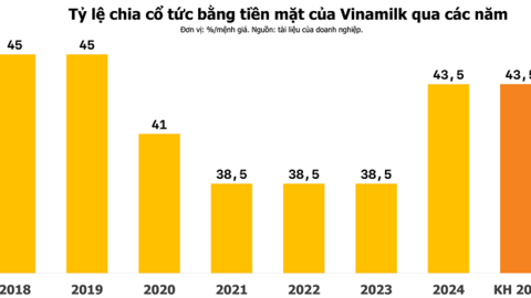 Cổ đông Vinamilk sắp nhận cổ tức 1.850 đồng/cp trong tháng 7