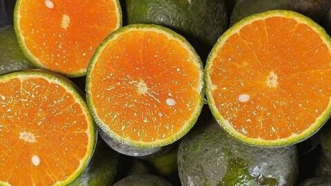 Hỗ trợ tổng hợp collagen từ hoa quả giàu vitamin C mà không ảnh hưởng dạ dày