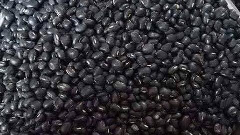 Mách bà nội trợ cách bổ sung magie từ đậu đen