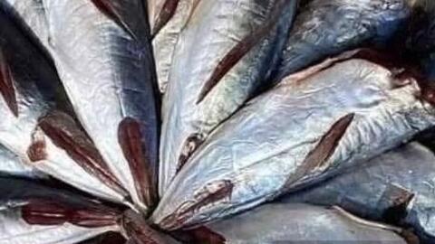 Mách bà nội trợ mẹo chọn loại cá bổ sung omega-3 hiệu quả