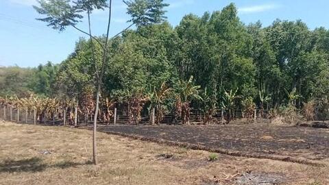 Làm rõ vụ đốt thực bì gây cháy lan, thiệt hại khoảng 200 triệu đồng