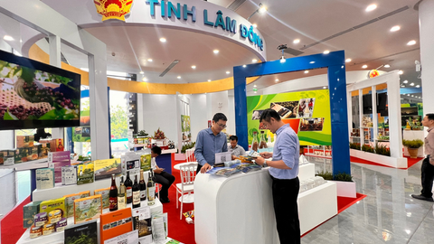 Lâm Đồng đẩy mạnh liên kết vùng, mở rộng tiêu thụ nông sản, OCOP