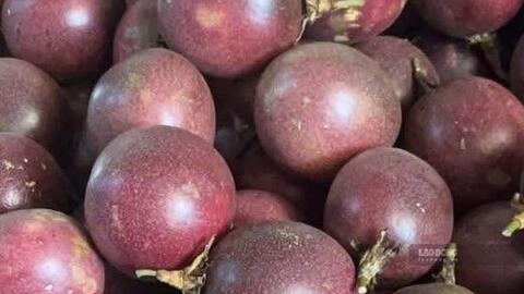Cách dùng chanh leo để hỗ trợ giảm mỡ nội tạng và giảm cân