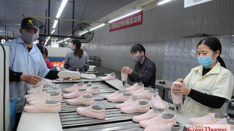 Doanh nghiệp Việt vượt rào cản kỹ thuật, chinh phục sâu thị trường EU