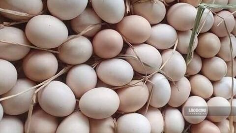 Cách tự nhiên hỗ trợ tăng cơ, giảm mỡ