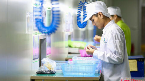 Việt Nam tiếp tục củng cố vị thế chiến lược trong chuỗi cung ứng toàn cầu