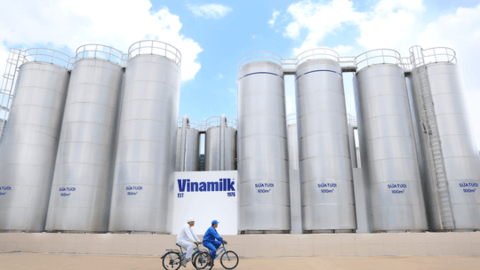 50 năm Vinamilk: Hành trình không ngừng nâng chuẩn