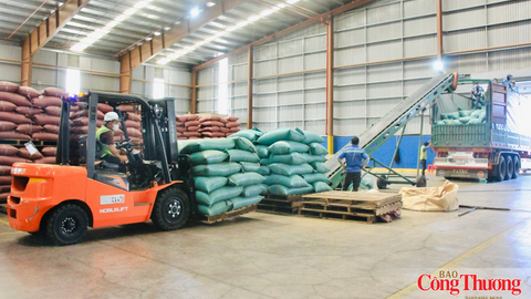 Gia Lai nâng giá trị ngành hàng xuất khẩu chủ lực