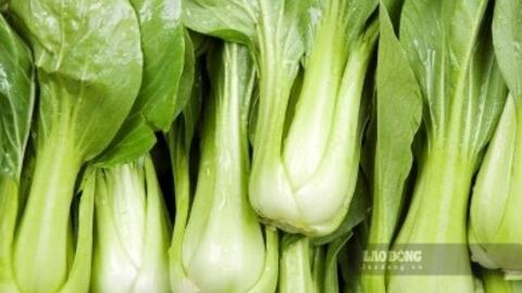 Món canh người bệnh gout có thể ăn thường xuyên
