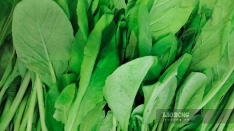 Loại rau có thể hỗ trợ ngủ ngon, có lợi cho huyết áp
