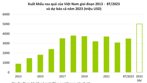 Xuất khẩu rau quả sang Trung Quốc trong tháng 8 tăng gần gấp 3 lần so với cùng kỳ