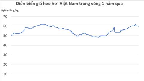 Trung Quốc tăng cường xuất khẩu heo sẽ ảnh hưởng đến giá heo hơi Việt Nam?