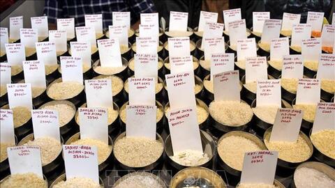 Giá gạo xuất khẩu của Ấn Độ và Thái Lan giảm mạnh