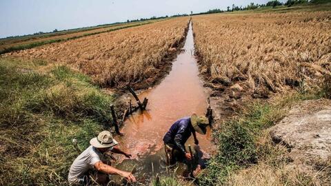 Chủ động phòng, chống hạn hán, thiếu nước, xâm nhập mặn