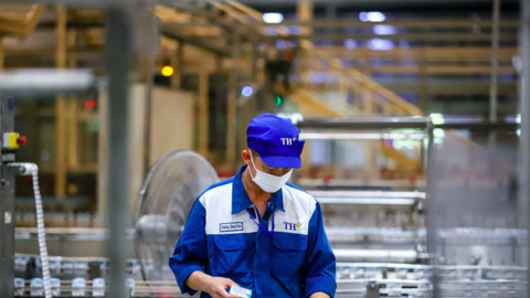 Định hướng tầm nhìn dài hạn cho ngành sữa Việt Nam