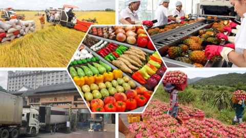 Xuất khẩu nông, lâm, thủy sản 8 tháng tăng 12%