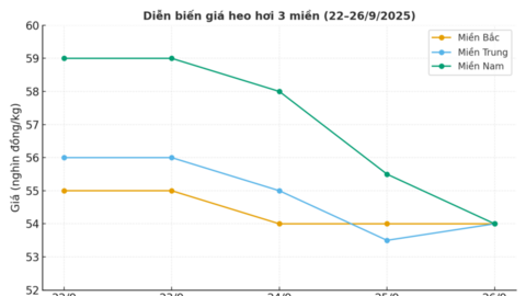 Giá heo hơi liên tục giảm, miền Trung và miền Nam chịu áp lực lớn