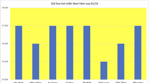 Giá heo hơi hôm nay 01/10/2025: Giảm đồng loạt cả 3 miền