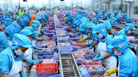 Xuất khẩu thủy sản quý I tăng tốc, doanh nghiệp xoay trục thị trường