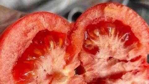 Những thực phẩm bảo vệ da mùa hè