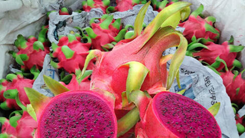 Giá nông sản hôm nay 16/4/2026: Nhiều mặt hàng biến động mạnh