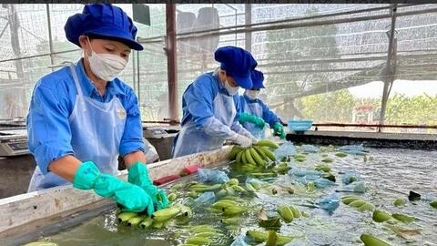 Chuyên gia 'hiến kế' để doanh nghiệp Việt biến cơ hội từ dịch chuyển chuỗi cung ứng thành đơn hàng