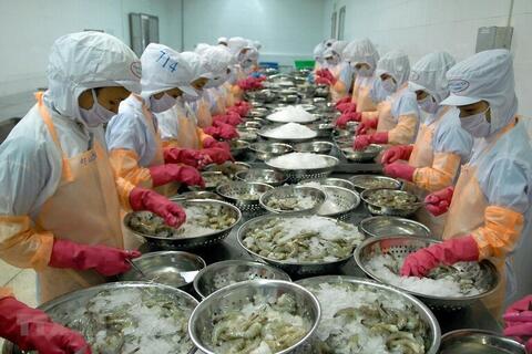 Xuất khẩu thủy sản Việt Nam kỳ vọng khởi sắc trong tháng 3