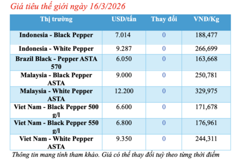 Giá tiêu hôm nay 16/3/2026: Dao động từ 142.500 - 144.500 đồng/kg