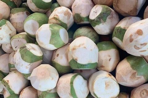 Tác dụng của uống nước dừa vào buổi sáng đúng cách