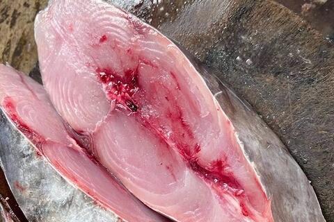 Giúp giảm khô, mỏi mắt bằng các món ăn chế biến từ cá béo