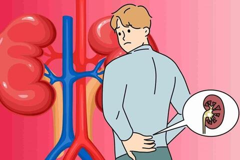 10 thực phẩm bổ thận nên có trong bữa ăn