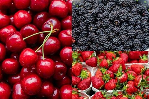 Bất ngờ với những quả mọng quen thuộc giúp gan sạch, dạ dày khỏe