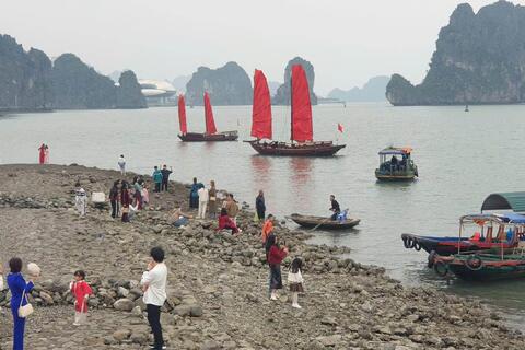 Chính thức mở tour thuyền buồm chạy ven vịnh Hạ Long từ 25.4