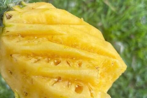 Tăng chức năng thận với loại quả đang vào mùa