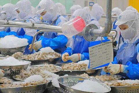 Doanh thu Sao Ta giảm tháng thứ 4 liên tiếp
